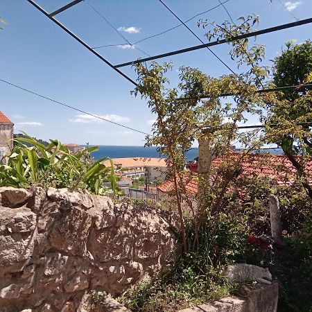 Summer Day Room Dubrovnik Exteriör bild
